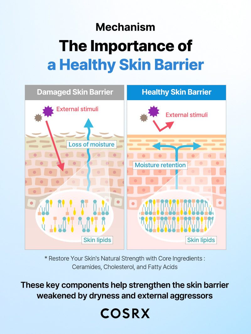 https://cdn.shopify.com/s/files/1/0513/3775/6828/files/Skinbarrier_Moisturizer_15.jpg?v=1756458228